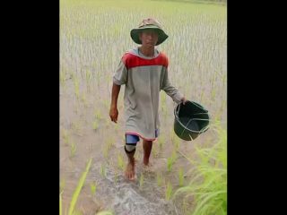 Petani Gunungsari Berebut Air Embung Bayukuwung