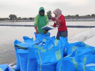 Akhir Tahun, Harga Garam di Pati Tinggi