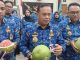 Sudewo Kirim Jeruk Pamelo untuk Seluruh Bupati dan Wali Kota di Jateng