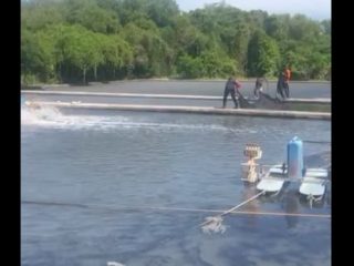 PT Indo Seafood Rembang Tanggapi Keluhan Warga