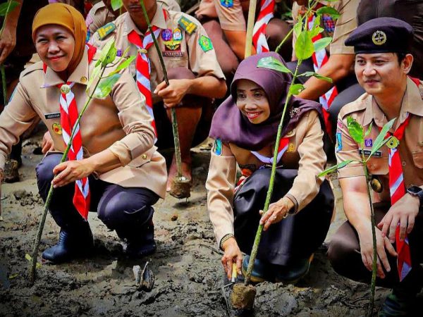 Tanam Mangrove Bersama Gerakan Pramuka, Ini Pesan Gubernur Jatim