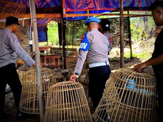 Sempat Dikeluhkan Warga, Polsek Pogalan Grebek Arena Sabung Ayam 