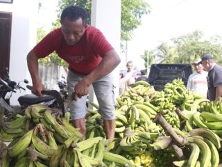 Warga Gunungwungkal Kirimkan Hasil Bumi ke Dapur Umum Ngagel