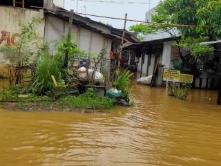 Ratusan Rumah dan Kolam Ikan Semampir Tergenang Banjir