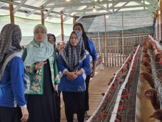 Hindun Anisah Bagikan Bantuan Ternak Ayam untuk Wanita Tani Jepara