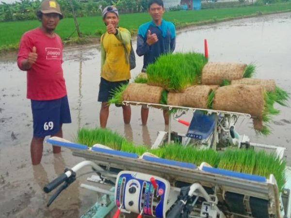 Brigade Pangan Rembang Bantu Petani Hadapi Musim Sulit
