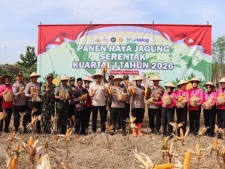 Polres Rembang Panen Raya Jagung Serentak