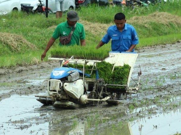 Produksi Pertanian di Rembang Meningkat