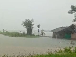 Banjir di Pati Rendam Ribuan Hektare Tambak Ikan, Kerugian Capai Rp17 Miliar