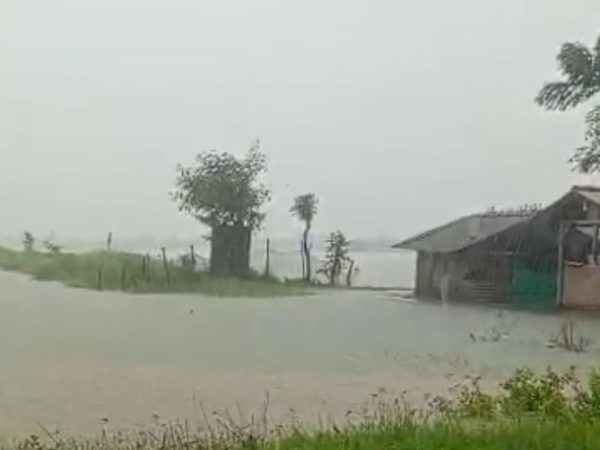Banjir di Pati Rendam Ribuan Hektare Tambak Ikan, Kerugian Capai Rp17 Miliar