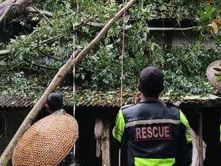 Cuaca Ekstrem, Rumah Warga di Desa Batealit Tertimpa Pohon Tumbang
