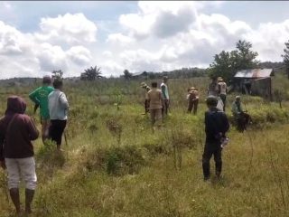 Bantuan Rodhentisida Disalurkan, Tangani Gagal Panen Jagung di Wukirsari