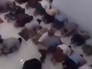 Video Kegaduhan Tarawih Viral Ternyata Bukan di Pati