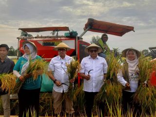 DPR Minta Pemkab Pati Salurkan Bantuan Benih Pasca Banjir Tepat Sasaran