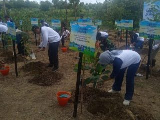 Pertamina dan Perhutani Tanam Belasan Ribu Pohon di Hutan Bulu