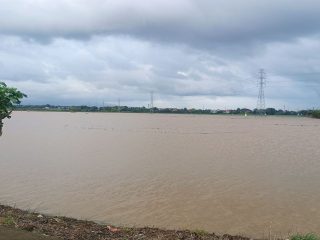 Petani Rugi Puluhan Miliar, Ribuan Hektare Sawah Gagal Panen karena Banjir 