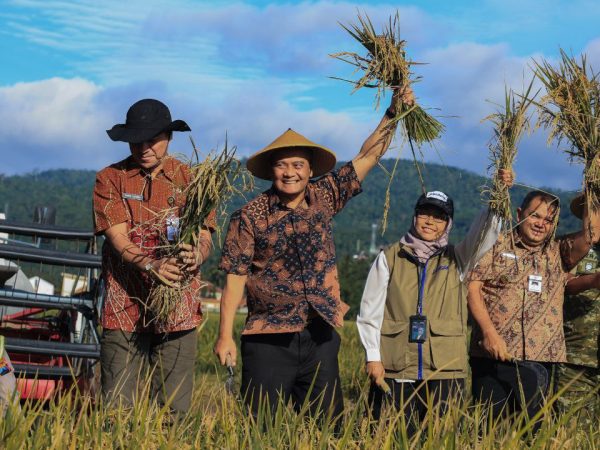 Gubernur Jateng Pimpin Panen Raya Padi, Hasilkan 3,35 Juta Ton selama 3 Bulan