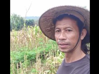 Panen Raya Harga Anjlok, Petani Jagung Jukung Rembang Terjepit Stok Melimpah