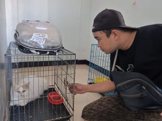 Penitipan Hewan di Pati Cocok Amankan Peliharaan saat Mudik