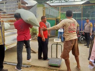 Luas Lahan Tanam di Kabupaten Pati Capai 119 Ribu Hektare