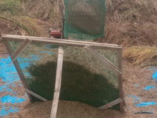 Respons Keluhan Petani, Dinas Pertanian Rembang Agendakan Pengendalian Hama