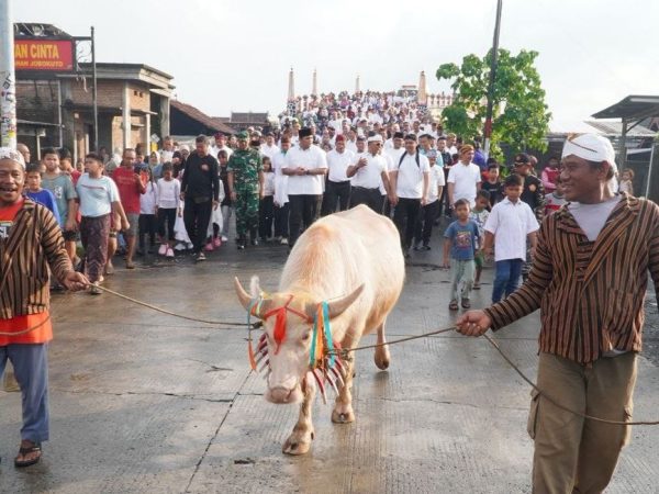 Makna Transparansi di Balik Kirab Kerbau Bule Jepara