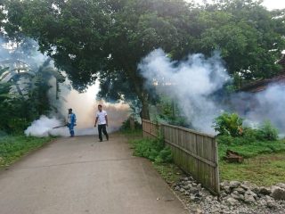 Chikungunya Merebak di Pati, Sudah Capai Puluhan Kasus