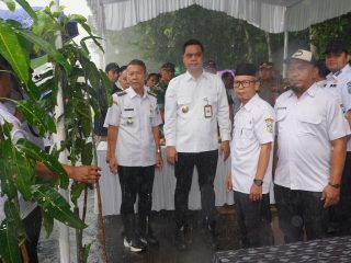 Pemkab Jepara Sulap Bahu Jalan Jadi Ladang Cuan Genjot Kas Desa