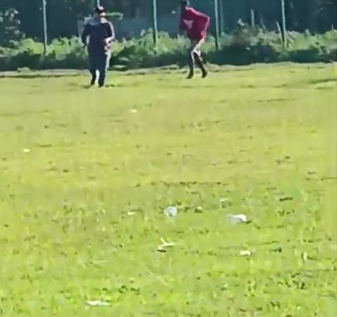 Kejar-kejar Wanita hingga Pecahkan Kaca Rumah, Pria Diduga ODGJ Resahkan Warga Alasdowo