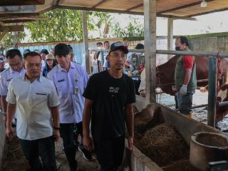 Pastikan Hewan Kurban Sehat, Gubernur Luthfi Intensifkan Layanan Healing di Jateng