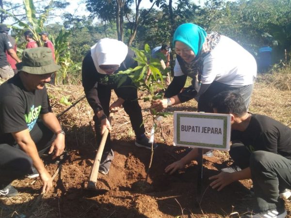 Ratusan Hektare Lahan Kritis, Jepara Komitmen Pulihkan Alam Lereng Muria