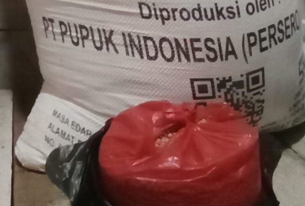 Distributor Wajibkan Petani Beli Paket Pupuk TSP, Dintanpan Rembang Angkat Bicara