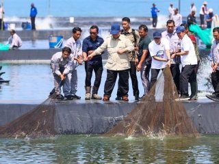 Budi Daya Udang Modern di Kebumen Miliki Prospek Baik bagi Ekonomi Nasional 