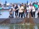 Budi Daya Udang Modern di Kebumen Miliki Prospek Baik bagi Ekonomi Nasional 
