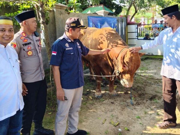 Bantuan Sapi Limosin Presiden RI untuk Masyarakat Rembang Disembelih Hari Ini