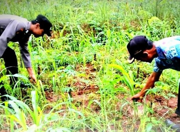 Dorong Asta Cita, Bhabinkamtibmas Polres Trenggalek Dampingi Kelompok Tani