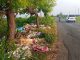 Bahu Jalan Jadi Tempat Buang Sampah, Kades Dresi Kulon Angkat Bicara