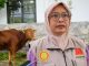 Puskeswan Pati Lakukan Pemeriksaan Antemortem dan Postmortem Hewan Kurban