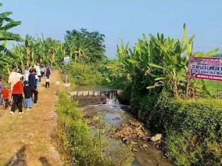 Aliran Sungai Beracun Akibat Limbah Industri Tapioka, Sawah dan Tambak di Bulumanis Lor Tercemar