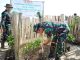 Kodim Rembang Bentengi Pesisir Pasar Banggi dengan Seribu Mangrove