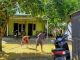 Warga Paras Gabus Bersih-bersih Lumpur Pasca Banjir