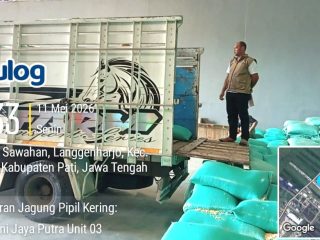 Bulog Pati Mulai Salurkan SPHP Jagung ke Peternak Unggas