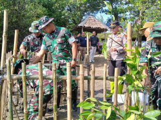 Kodim Pati Terapkan Sistem Rumpun Berjarak Tanam Mangrove di Banyutowo