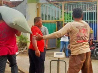 Kemarau Terik dan Kenaikan Nilai Tukar Rupiah Berdampak Pada Petani Pati 