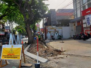 Pepohonan di Jalan Panglima Sudirman Tetap Aman Meski Trotoar Dibongkar 