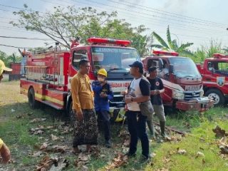 Lahan Tebu Seluas 9 Hektare di Kaliombo Sulang Terbakar, Kerugian Capai Rp400 Juta