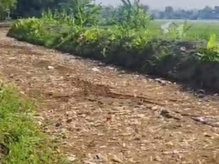 Pencemaran Limbah Pabrik Puluhan Tahun, Masyarakat Bulumanis Lor Nilai Pemerintah Abai