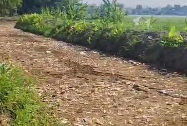 Pencemaran Limbah Pabrik Puluhan Tahun, Masyarakat Bulumanis Lor Nilai Pemerintah Abai