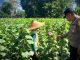 Percepatan Asta Cita di Trenggalek, Bhabinkamtibmas Desa Prambon Rutin Dampingi Petani