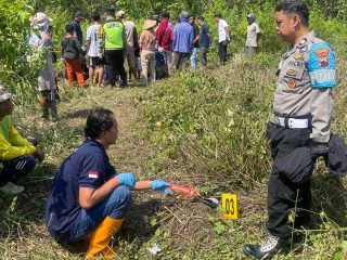 Penemuan Kerangka Manusia di Kawasan Hutan Mantingan Rembang Gegerkan Warga